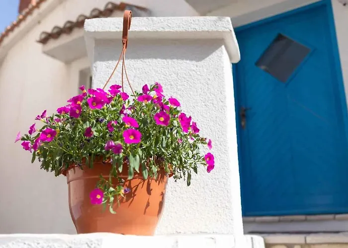 In - Insel Krk 47398 Vrbnik (Primorje-Gorski Kotar)